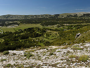 Caussols - Vue générale - Agrandir l'image (fenêtre modale)