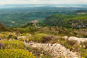 Agrandir l'image